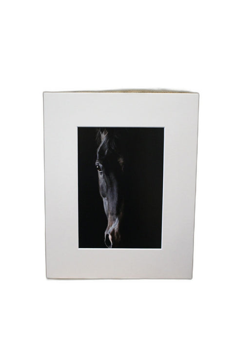 Genna Card Photography Shadow Spirit Horse in Motion