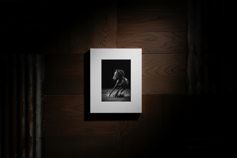 Genna Card Photography Shadow Spirit Horse in Motion