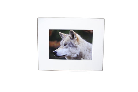 Genna Card Autumn Watch Wolf Print