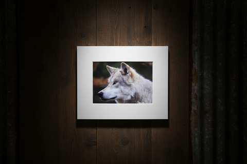 Genna Card Autumn Watch Wolf Print