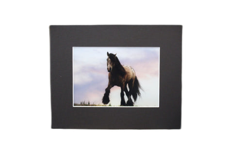 Genna Card Photography Evening Watch Horse at Dusk