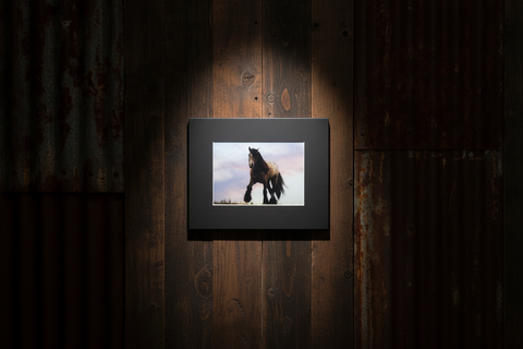 Genna Card Photography Evening Watch Horse at Dusk