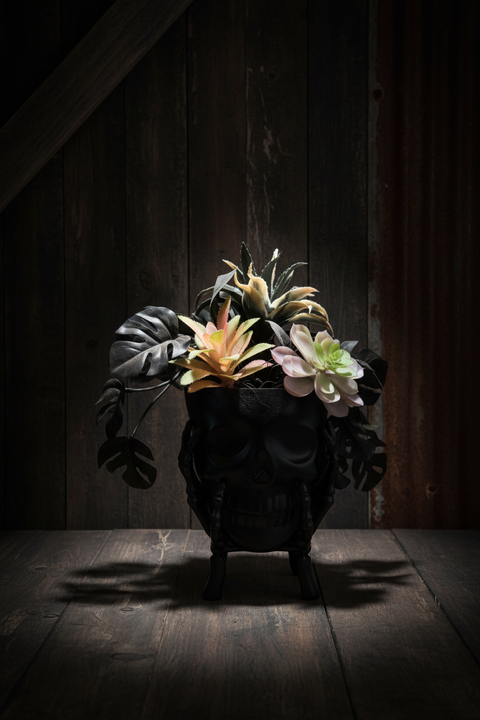 Black Skull Halloween Planter with Faux Succulents