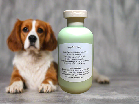 Oatmeal & Lavender Dog Shampoo by Betty's Bees Pet Care