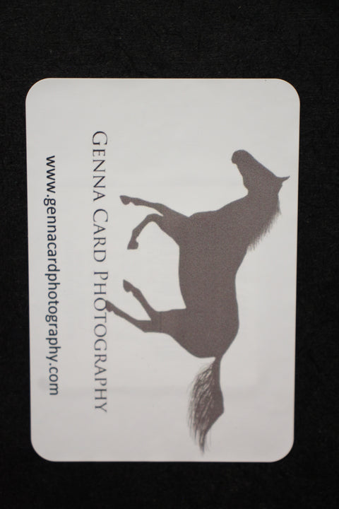 Design Horse Brown Genna Card Wall Art & Prints
