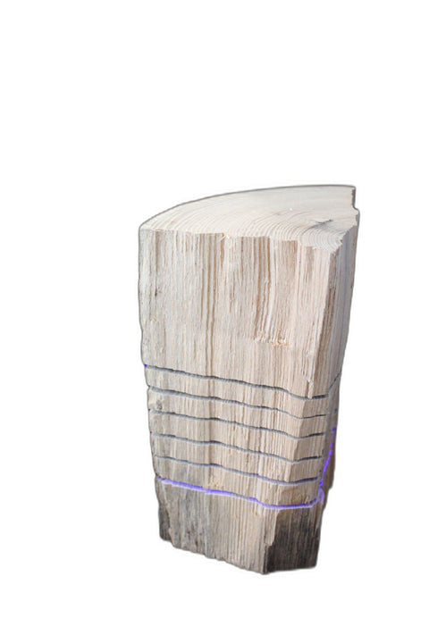 Unfinished Rustic Log Lamp  Blue Light Decorative Pieces