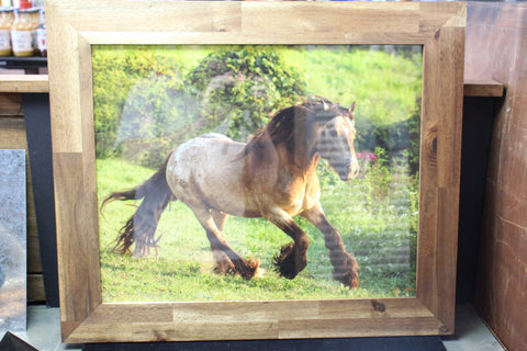 Design Horse Brown Genna Card Wall Art & Prints