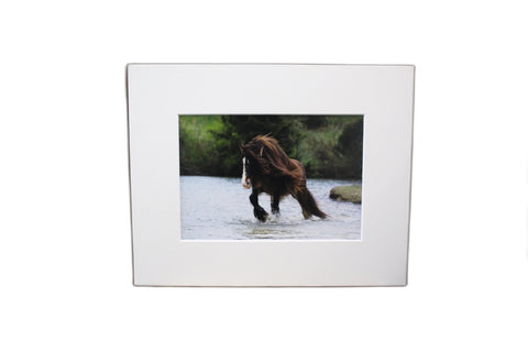 Genna Card Photography River Run Draft Horse Crossing
