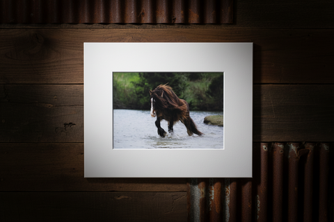 Genna Card Photography River Run Draft Horse Crossing