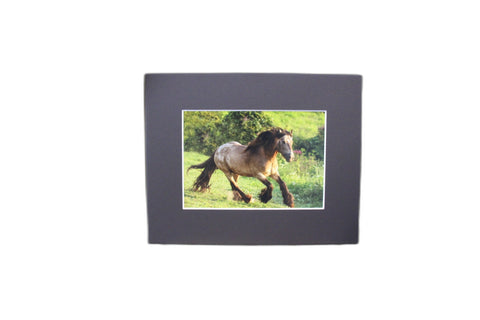 Genna Card Photography Meadow Burst Running Roan