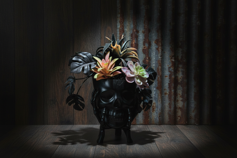 Black Skull Halloween Planter with Faux Succulents