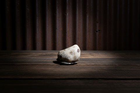 Petoskey Stone Magnet