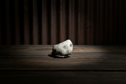 Petoskey Stone Magnet