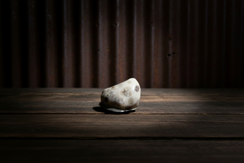 Petoskey Stone Magnet