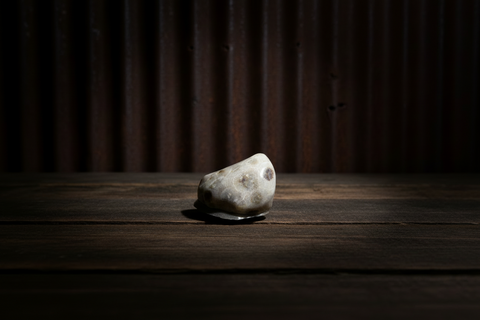 Petoskey Stone Magnet
