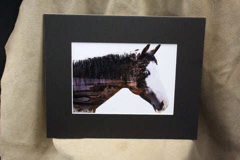 Genna Card Echo of the Pines Horse Print