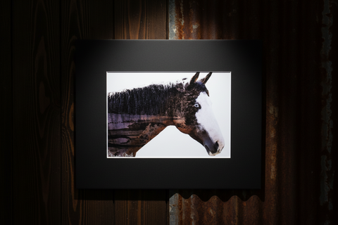 Genna Card Echo of the Pines Horse Print
