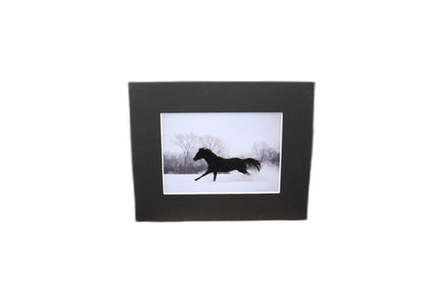 Genna Card Winter Gallop