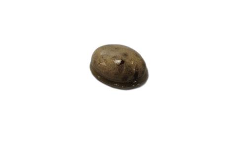 Petoskey Stone Magnet