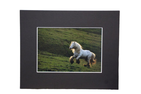 Genna Card Photography Highland Sprint Horse in Motion