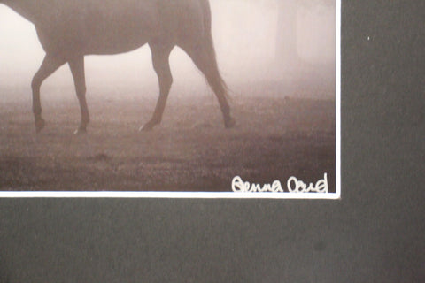 Genna Card Morning Fog Horse Print