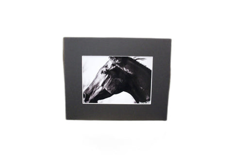 Genna Card Ebony Gaze Horse Portrait