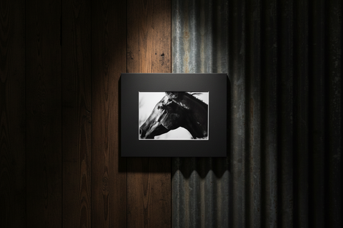 Genna Card Ebony Gaze Horse Portrait