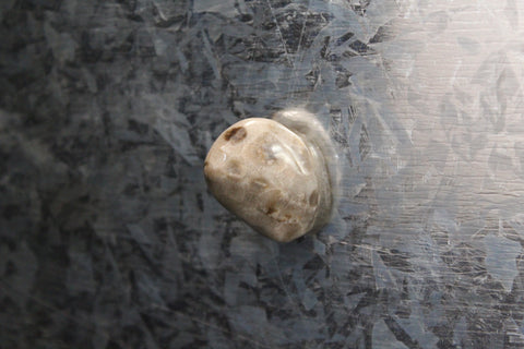 Petoskey Stone Magnet
