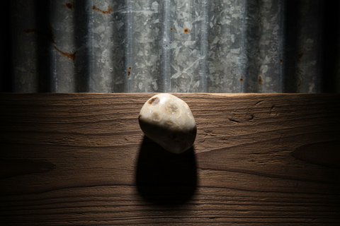 Petoskey Stone Magnet