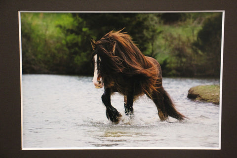 Genna Card Riverstride Majesty