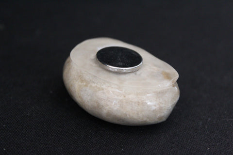 Petoskey Stone Magnet