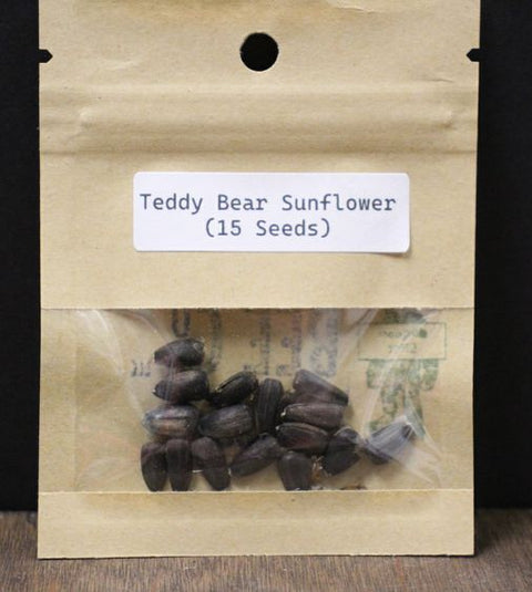 Teddy Bear Sunflower Seeds for Planting (15-Pack)