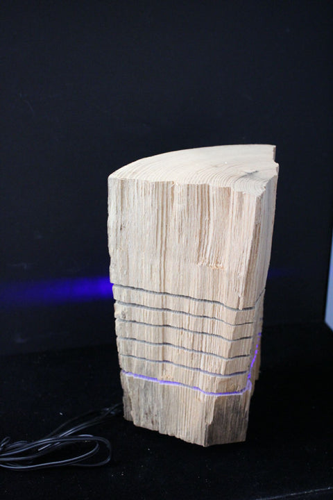Unfinished Rustic Log Lamp  Blue Light Decorative Pieces