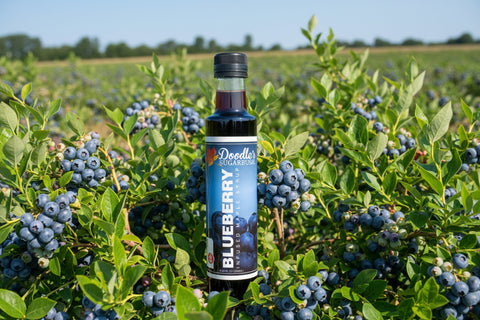 Doodle's Blueberry Infused Maple Syrup