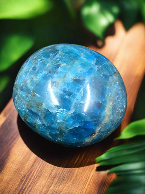 Apatite Palmstone by Pirate Booty  and Crystal Treasures