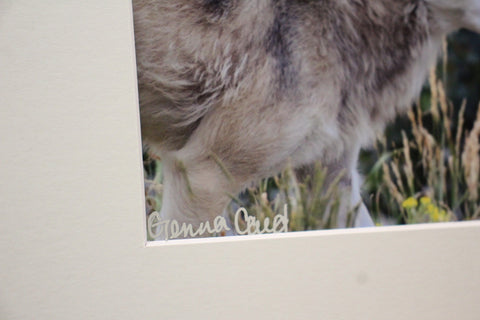 Genna Card Quiet Watcher Wolf Print