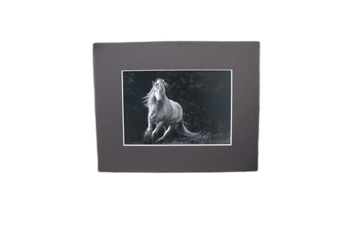 Genna Card Photography Forest Spirit White Horse Running