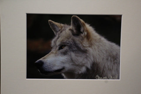 Genna Card Autumn Watch Wolf Print