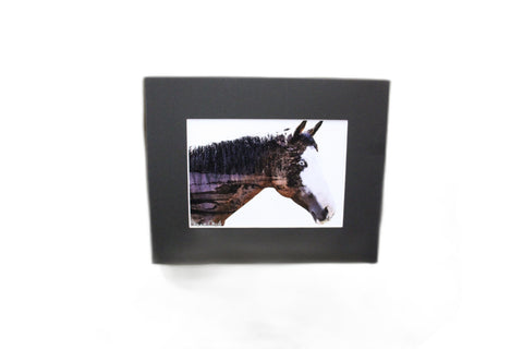 Genna Card Echo of the Pines Horse Print