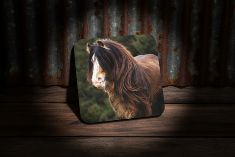 Shaggy Brown Horse Photo Cork-Backed Coaster