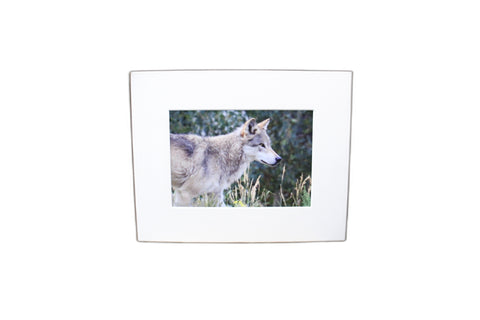 Genna Card Quiet Watcher Wolf Print