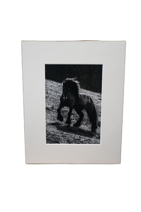 Genna Card Photography Iron Hill Grace Horse on the Slope