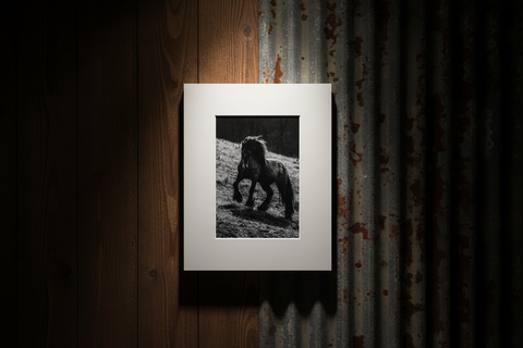 Genna Card Photography Iron Hill Grace Horse on the Slope