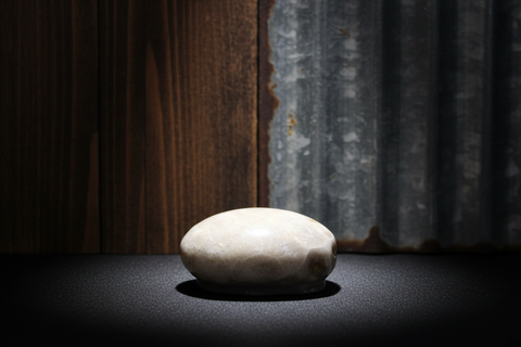 Petoskey Stone Magnet