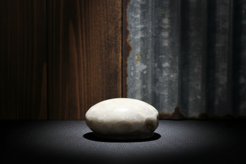 Petoskey Stone Magnet