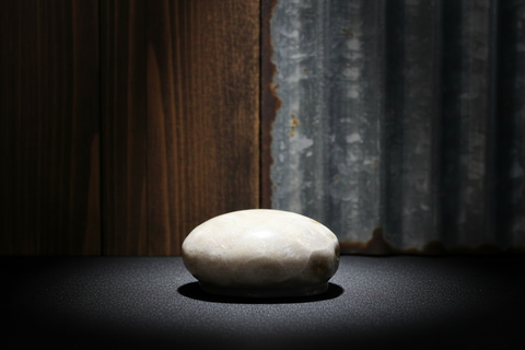 Petoskey Stone Magnet