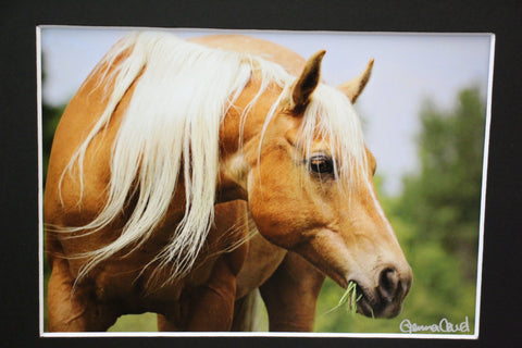 Genna Card Golden Palomino Portrait
