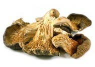 Oyster Mushrooms Dried