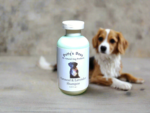 Oatmeal & Lavender Dog Shampoo by Betty's Bees Pet Care