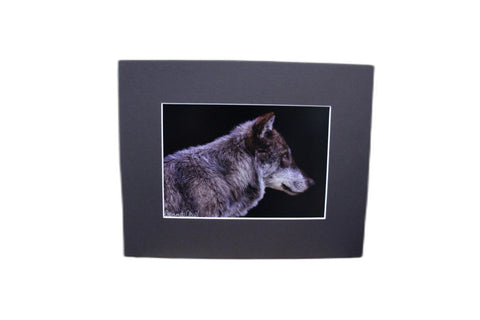 Genna Card Lone Gaze Wolf Print